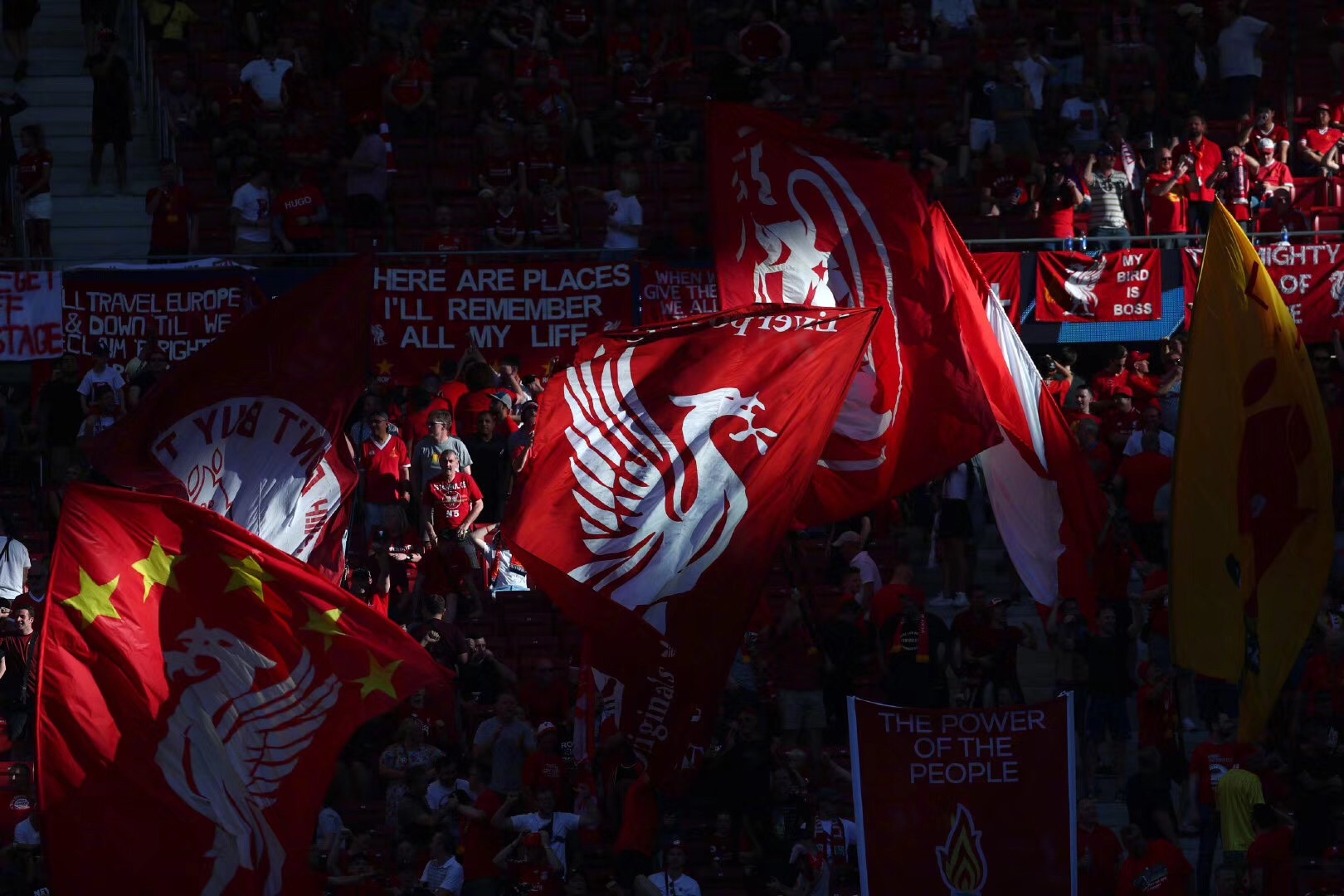 能为谢什科 能为谢什科